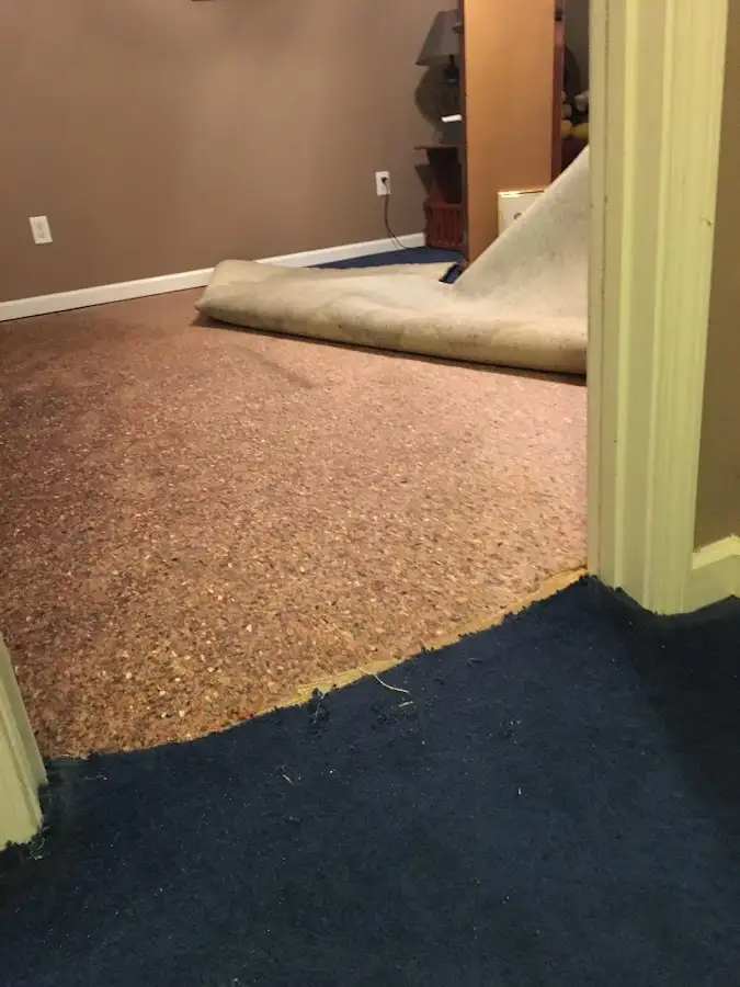 Carpet pad removal revealing water damage during Water Mitigation Services in Mentone