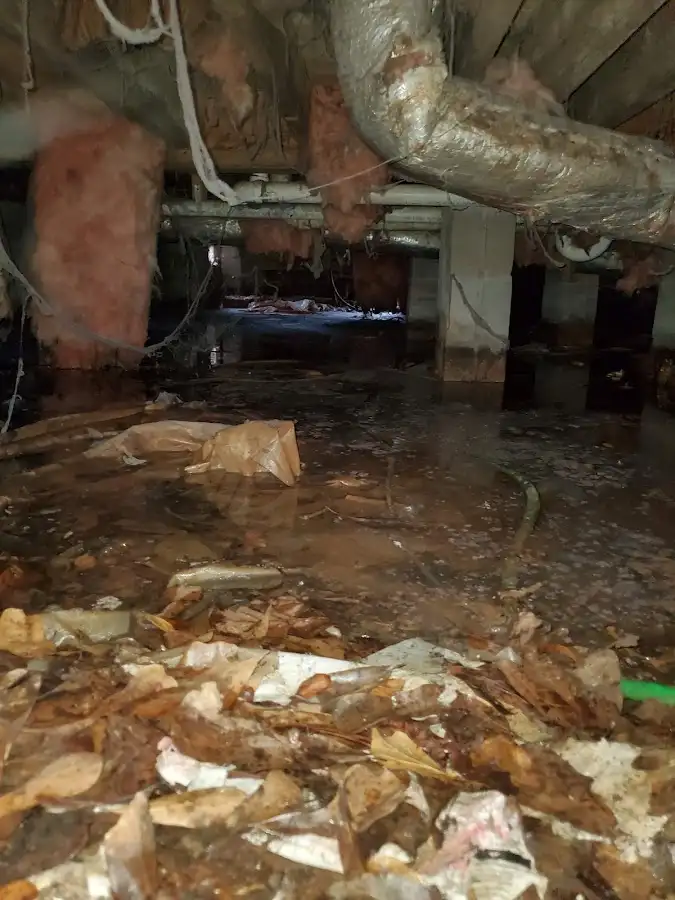 Crawl space flood assessment for Leak Detection & Repair in Mentone