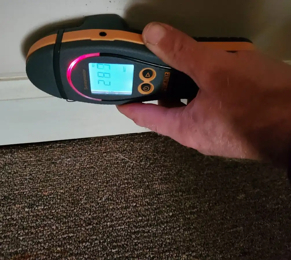 Moisture detection at baseboard during Storm Damage Restoration in Mentone